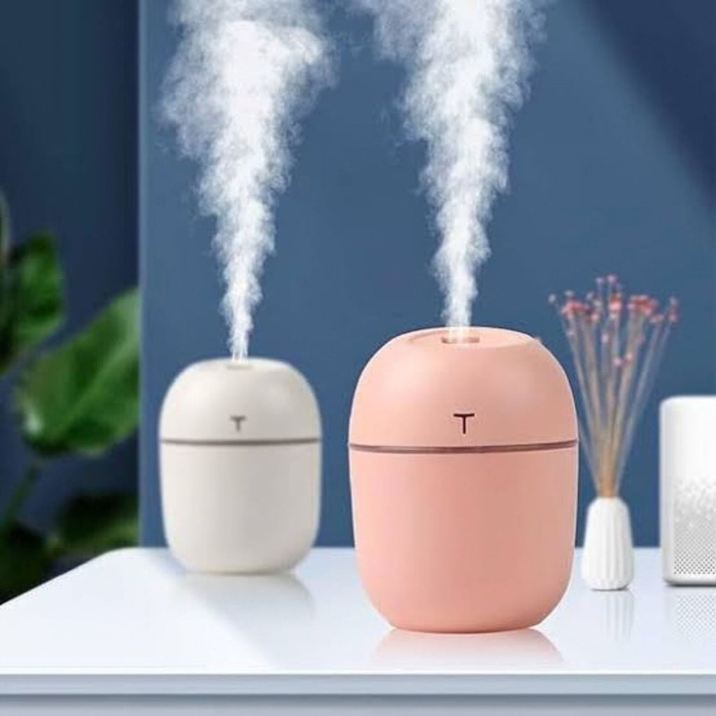 Mini Cute Air Humidifier with LED Light, 220ml, USB Powered